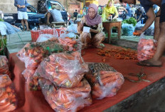 Ketersediaan Stok Jadi Pemicu, Harga Wortel di Pasar Karangploso Melejit, Seledri dan Brokoli Anjlok
