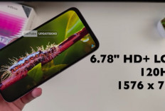 Harga HP Terbaru 2026 Turun? Ini Daftar Smartphone Paling Laris Mulai Rp1 Jutaan hingga Rp6 Jutaan