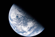 Cara Cerdas Rayakan Hari Bumi 22 April dengan Kurangi Emisi Karbon dari Ponsel