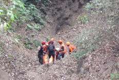 Pesepeda Asal Singosari Tewas Terjun ke Jurang Sedalam 50 Meter di Jalur Coban Kaca Batu