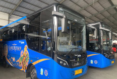 Trans Jatim Koridor II Malang Raya Mulai Beroperasi, 15 Bus Layani Rute Arjosari-Kepanjen