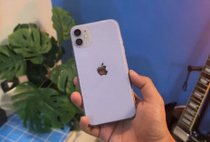 Rekomendasi iPhone Murah 2026: iPhone 11, 11 Pro Max, atau iPhone 13 Paling Worth It?