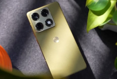 10 HP Baru Paling Worth It 2026: Dari 1 Jutaan Sampai Flagship Gila Baterai 10.000 mAh
