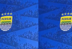 Persib Berpeluang Kantongi Belasan Miliar Jelang Musim Baru, Ini Sumber Pemasukannya