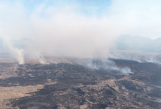 Kebakaran Bromo Meluas 742,70 Hektare, 24 Ribu Liter Air Dikerahkan lewat Water Bombing
