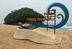 Pesona Pantai Tanjung Penyu Malang: Surga Tersembunyi yang Mulai Dilirik Wisatawan