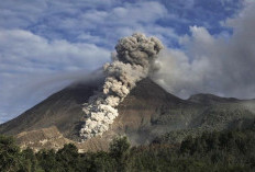 Nataru 2025–2026, Sejumlah Gunung Ditutup, Pendakian Salak hingga Semeru Dilarang Sementara