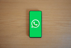 WhatsApp Plus Worth It Nggak Sih? Ini Benefit dan Fitur yang Ditawarkan