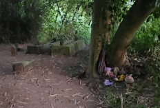 Pesugihan Tuyul Gunung Kawi, Lokasi Ritual Disebut Tersembunyi di Tengah Ladang Tebu (Bagian-1)
