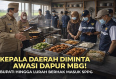 Kepala Daerah Diminta Awasi Dapur MBG, BGN: Bupati hingga Lurah Berhak Masuk SPPG