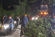 Cuaca Malang Raya 7 Maret: Kota-Kabupaten Berawan, Batu Hujan Ringan, BMKG Kembali Peringatkan Cuaca Ekstrem