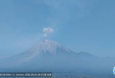 Gunung Semeru 6 Kali Erupsi, Dentuman Terdengar Senin Malam, BPBD Pastikan Tak Ada Dampak