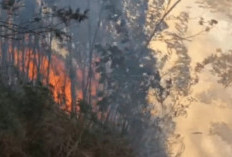 Karhutla Kawah Ijen Mulai Terkendali, Tim Gabungan Fokus Pendinginan