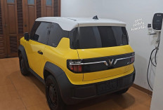 Charger Rumahan Wuling Air EV Diuji, Bisa Pakai Charger Mobil Listrik Lain dengan Converter Ini