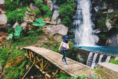 5 Air Terjun di Kota Batu untuk Liburan, Ada Coban Rais hingga Coban Talun