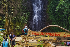 7 Coban dan Hutan Pinus di Jabung Malang, Surga Wisata Alam yang Masih Tersembunyi