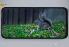 5 HP Realme 5G Termurah dan Terbaik Awal 2026, Ada Baterai 7.000 mAh Mulai Rp3 Jutaan