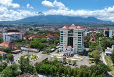 Universitas Negeri Malang Masuk 11 Besar Kampus Terbaik Indonesia versi Webometrics Juli 2026