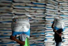 Dukung Pertanian Berkelanjutan, Pupuk Indonesia Edukasi Pemupukan Berimbang bagi Petani Wanita dan Petani Cili
