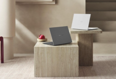 ASUS Buka Pre-Order Zenbook AI Terbaru, Andalkan NPU 50 TOPS dan Layar OLED Premium