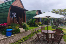 Desa Wisata Sumbergondo Punya D'cottage Sabin, Menginap Sambil Petik Sayur dan Buah