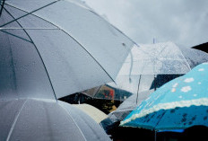 Prakiraan Cuaca 15 Desember 2025, Kota Batu dan Kota Malang Potensi Hujan Ringan 