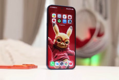 12 HP Rp3 Jutaan Terbaik 2026 untuk Jangka Panjang, iQOO Z10 hingga Samsung A17 5G Punya Spek Gahar dan Batera