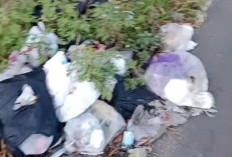 Gawat! Jalanan Kota Batu Berubah Menjadi 'Lahan Empuk' Pembuangan Sampah Liar, Sudah Mati Rasa?