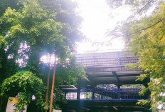 Hari Pertama Operasional, Gedung Parkir Kayutangan Akan Digratiskan