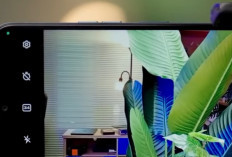 Redmi Note 15 hingga Samsung A07, 7 HP Kamera Terbaik Rp2 Jutaan 2026 untuk Foto dan Video