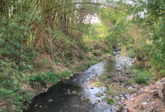 Ketua DPRD Kota Malang Soroti Sampah Pampers di Sungai Metro