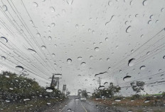 Cuaca Malang Raya 11 Maret: Hujan Ringan, 10 Kecamatan di Kabupaten 'Menggigil', Jatim Status Siaga BMKG