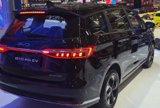 BYD M6 EV CKD Rp395 Juta, Apa Bedanya dengan Versi CBU?