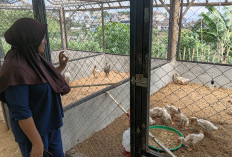 Sampah Itu Mulai Menjadi Berkah di Tangan Warga Desa Sumbergondo