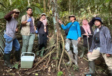 Riset UM Ungkap 123 Sinyal Metabolit Pala Jawa, Jejak Kimia Tumbuhan Langka di Malang Selatan