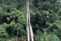 Syphon Metro Kepanjen, Warisan Teknik Belanda Berusia 123 Tahun yang Masih Mengairi Ribuan Hektare Sawah