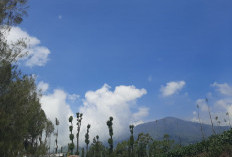 Cuaca Bromo-Tengger-Semeru Hari Ini: Suhu Turun 9°C, Ombak Malang Selatan Capai 2,5 Meter
