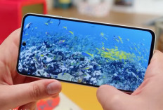 5 HP Samsung Terbaik yang Masih Layak Dibeli 2026, Nomor 1 Punya Update Android hingga 6 Tahun