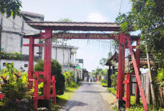 Desa Wisata Sidomulyo, Kota Batu: Kampung Bunga dengan Mal Tanaman Hias hingga Kampung Sakura