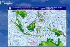 BMKG Peringatkan Hujan Lebat 15-21 Februari 2026, Angin Monsun Asia Menguat!
