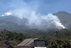 Kebakaran Gunung Arjuno-Welirang Belum Padam, Api Tersebar di Lima Titik