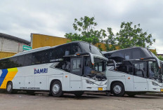 42 Shuttle Bus Gratis Disiapkan ke Sirkuit Mandalika, Ini Rute dan Jadwalnya