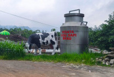 Deretan Wisata Edukasi di Kota Batu Cocok Dikunjungi saat Libur Sekolah 