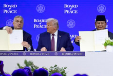 BoP yang Diinisiasi Trump Diklaim KSP RI Gagas 20 Poin Rencana Perdamaian Gaza, Ini Datanya