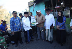 Bupati Malang Tinjau Pasar Sayur Turen Pascakebakaran, Salurkan Bantuan dan Percepat Pemulihan