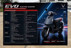 VinFast Siapkan Evo, Feliz II dan Viper untuk Indonesia, Intip Pabrik Raksasanya di Vietnam