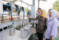 Khofifah Targetkan UPT Batu Jadi Pusat Pengembangan Sapi Perah Jawa Timur