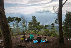 5 Gunung dan Bukit di Sekitar Batu yang Ramah Pendaki Pemula, Ada Trek 1-2 Jam