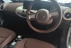 Diskon Mobil Listrik Wuling Bikin Pasar Panas, Konsumen Serbu Air EV hingga Model Baru Darion