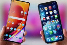 Ganti HP Tanpa Ribet! 9 Cara Transfer Data dari Smartphone Lama ke Baru dengan Mudah dan Cepat